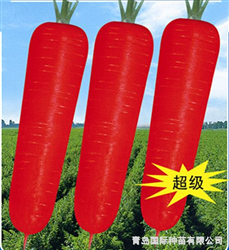 ????????o????????Ρ????????????